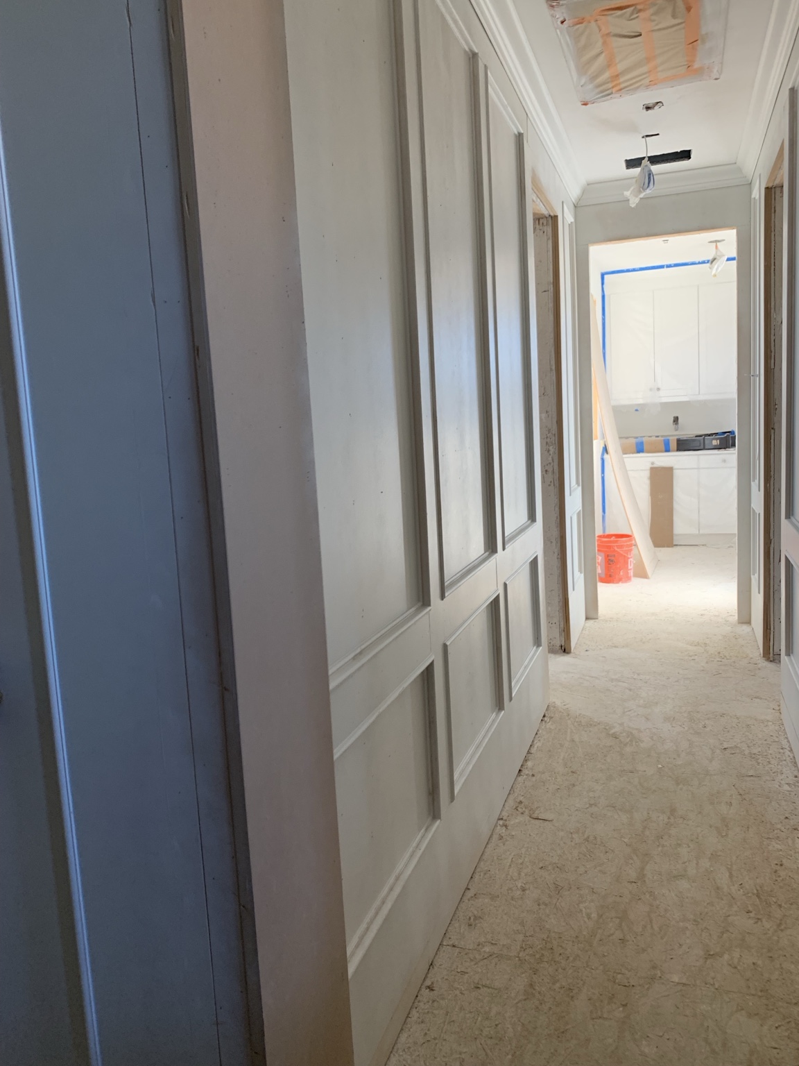 Wall panel and door trim details