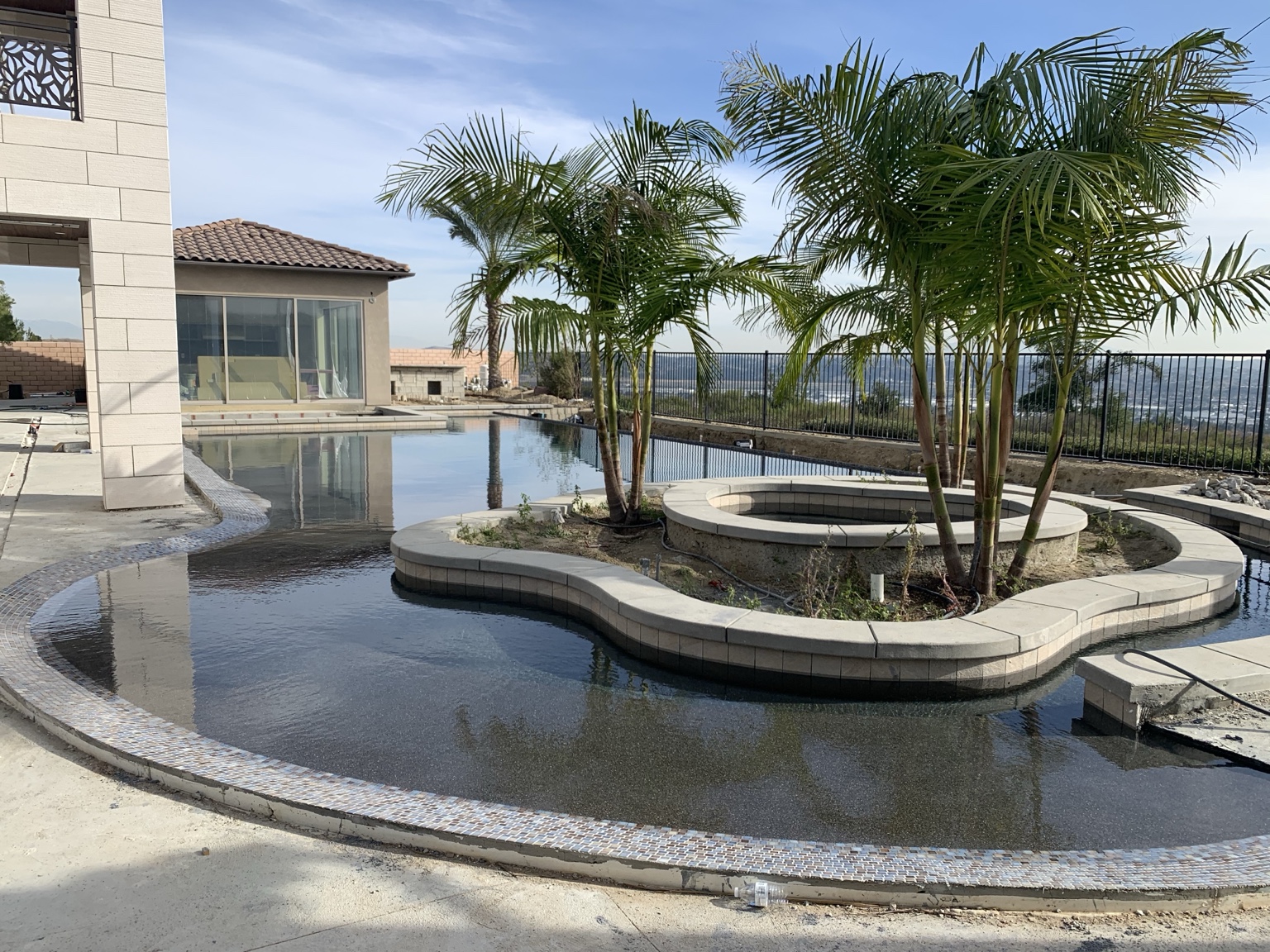 Water feature and palms